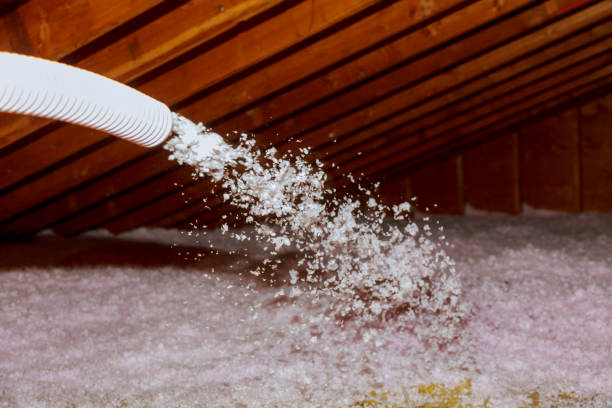 Best Geographic-Specific Insulation Services in Willard, UT